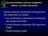 Geotermia&Ortopedia. Geothermal water in orthopaedic therapy/LECTURES