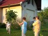 HUNGARY/Szeged/1995/2003/08/Budapest/Debrecen/Szekes fehervar/Kecskemet/Bekescab