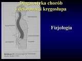 Geotermia&Ortopedia. Geothermal water in orthopaedic therapy/LECTURES