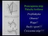 Geotermia&Ortopedia. Geothermal water in orthopaedic therapy/LECTURES