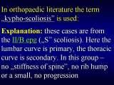 Two LECTURE on SCOLIOSIS in REGENSBURG / 10-14.05.2007